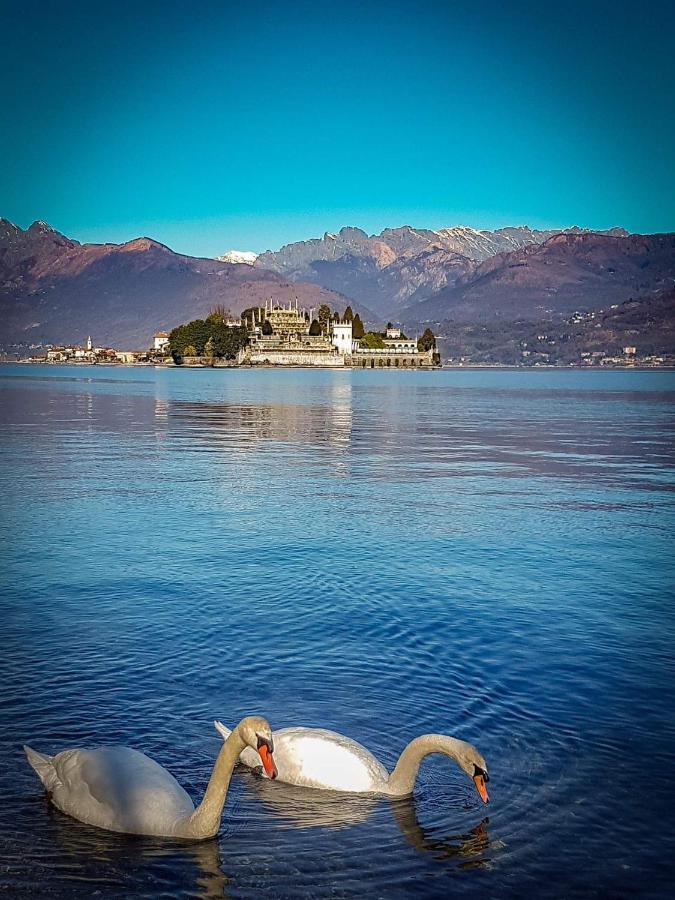 Red Rose Stresa Exterior foto